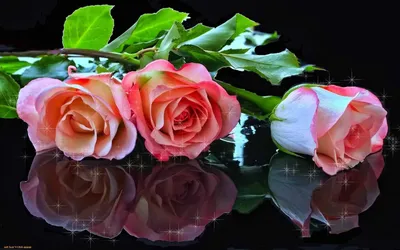 Игра в бисер: розовые розы, лунные гвоздики, блестящие шарики и другие  цветы по цене 6981 ₽ - купить в RoseMarkt с доставкой по Санкт-Петербургу