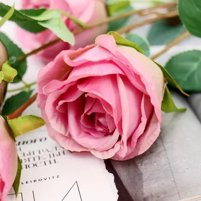 Роза Блю Парфюм TANTAU (Rosa Blue Parfum) - купить в Минске, доставка  почтой по Беларуси, недорого в интернет-магазине, цены