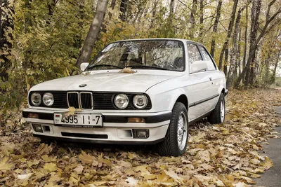 Wide body heavily modified bmw e30 m3, dark and shadowy background, in the  canadian forest, 30 minutes after sunset, long depth of field on Craiyon
