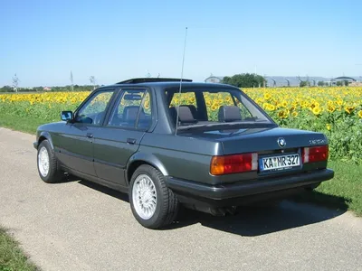 BMW E30 At 40: Here's What It Can Still Teach Modern Cars | Carscoops