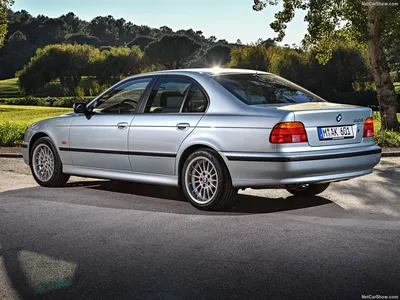 File:BMW E39 rear 20081125.jpg - Wikipedia