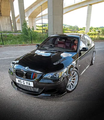 Icon Buyer: 2004 BMW E60/E63M5 and M6 buyer's guide