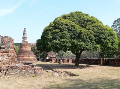 Индийский Бог, Вишну, Radhe, Кришна на качели, лорд, рама, джхула, картина  с любовью, гобелен от Ho Me Lili для искусственных элементов | AliExpress