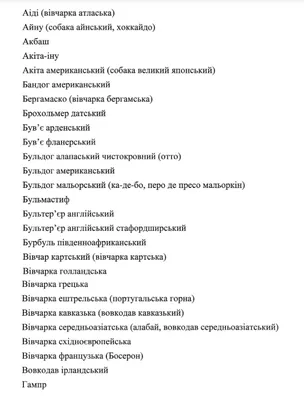 Самые умные собаки - какую породу выбрать – фото | OBOZ.UA