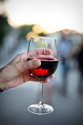 Стеклянный прозрачный бокал для вина Blush купить в Украине: цена 440 грн.,  отзывы ᐈ Тарлини