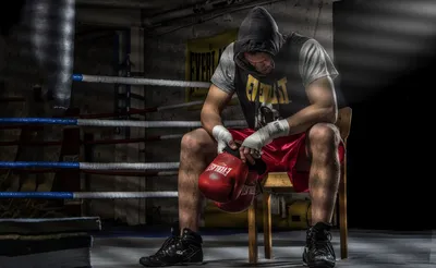 Фотографии боксера Мужчины Перчатки спортивные Бокс Руки смотрит