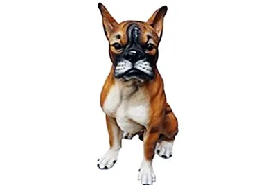 Собака боксёр 🐺🐶🐕» — создано в Шедевруме