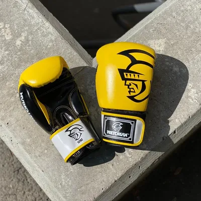 Купить Боксерские перчатки EVERLAST POWERLOCK PU 2 по низкой цене с  доставкой из марктеплейса Fight Express