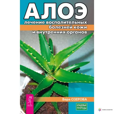 Целебное Алоэ от гепатита, цирроза и для устранения желчнокаменной болезни  | Алоэ вера, Алоэ, Лицо