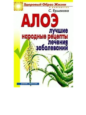 Алоэ Бревифолия КУПИТЬ МОСКВА от 803 рублей, доставка