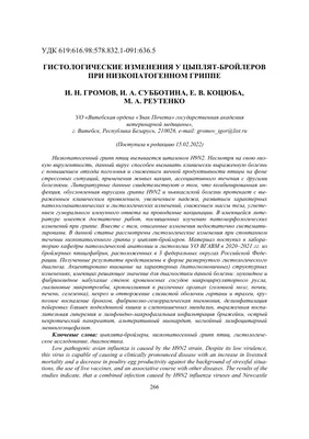 Лечение орнитобактериоза у цыплят-бройлеров с использованием препарата  флорикол | ГК ВИК