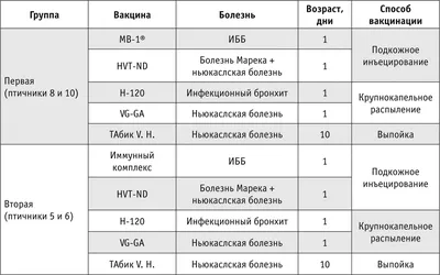 Какой должен быть вес у бройлера | Таблица веса бройлеров по дням