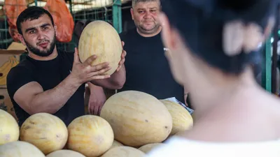 Гастроэнтеролог назвал все вредные свойства дыни. Некоторые вас удивят |  РБК Life