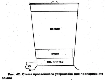 Фиалка МЕТОДЫ БОРЬБЫ С БОЛЕЗНЯМИ И ВРЕДИТЕЛЯМИ