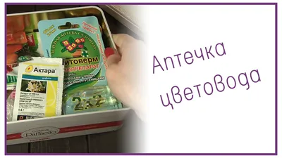 Фунгицид Avgust Топаз Кэ - «Лечим фиалки от мучнистой росы. Этапы  обработки. Эффективность препарата. Фото цветущих фиалок» | отзывы