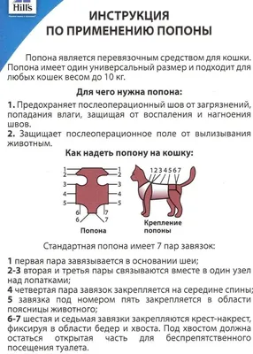 Черные пятна на коже собаки - Кожа вашей собаки - Дуксо S3 RU