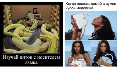 Язык человека: что это, где находится, как выглядит и работает, почему  может болеть