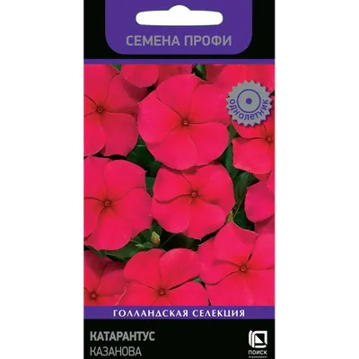 Купить Катарантус Медитеранен ХР Страуберри | Mediterranean XP Strawberry  Vinca (30 семян) • Гавриш (Россия) • Катарантус Медитеранен ХР Пич |  Mediterranean XP Peach Vinca. Растение с длинными побегами и  бледно-розовыми довольно