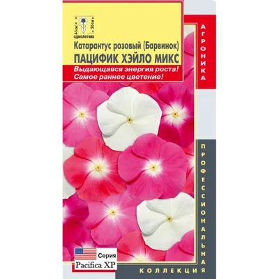 Купить семена Катарантус розовый (Барвинок) Пацифик Хэйло Микс в Украине:  Цена, Характеристики, Отзывы;
