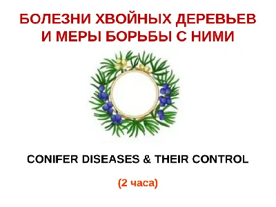 PDF) Conifer Diseases