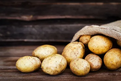 Болезни клубней картофеля фото фотографии
