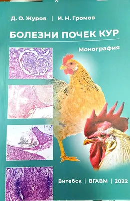 Вышла в свет монография «Болезни почек кур» | УО «Витебская ордена «Знак  Почета» государственная академия ветеринарной медицины\"