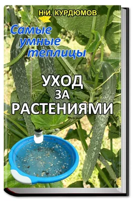 ОГУРЦЫ НИКОГДА НЕ БОЛЕЮТ, 40 ЛЕТ ПРИМЕНЯЮ ТОЛЬКО ЭТО! ДЕЛЮСЬ С ВАМИ  СЕКРЕТОМ, ОГУРЦЫ КАК С КАРТИНКИ! - YouTube