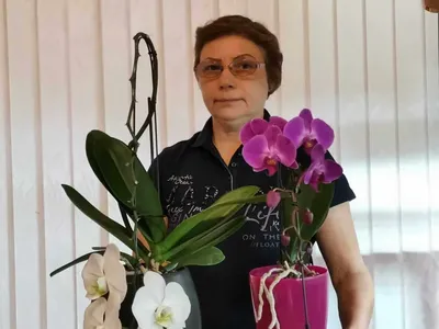 Наиболее распространенные болезни орхидей и их лечение | Орхидеи, Цветки  орхидеи, Орхидея