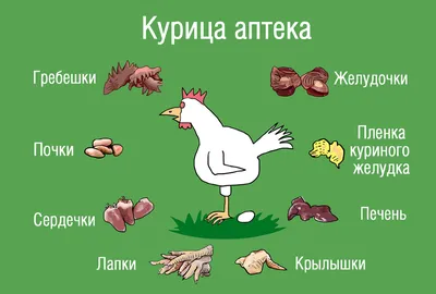 САМЫЕ ЧАСТЫЕ БОЛЕЗНИ У КУР: симптомы и лечение куриных заболеваний!  (Ветеринар Павел Шкурманов) - YouTube