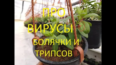 https://72.ru/text/gorod/2023/02/16/72056240/