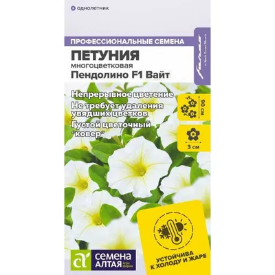 Петунии - коротко о главном! 🔥