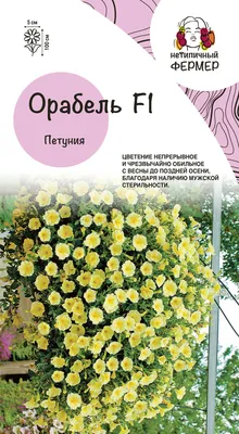Петуния крупноцветковая в Москве по доступным ценам. Заказать.