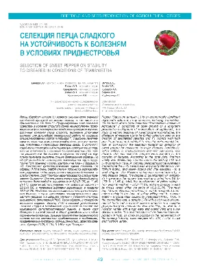 Семена перец сладкий СеДеК Толстяк F1 13749 1 уп. - отзывы покупателей на  Мегамаркет