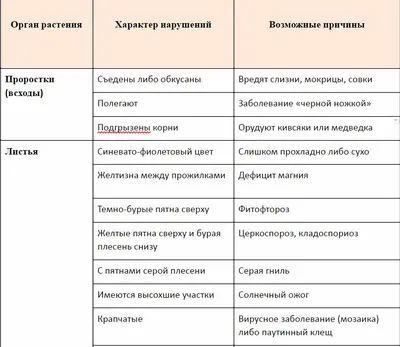 BB.lv: Жёлтые листья у помидоров в теплице и открытом грунте... Почему?