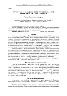 Болезни и вредители роз и борьба с ними — SonceSad Болезни и вредители роз  и борьба с ними — SonceSad