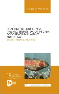 О рисках, связанных с употреблением рыбы и рыбной продукции