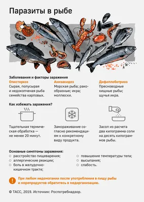 У обитающей в Ростовской области рыбы выявили опасные для человека болезни  — Перекресток
