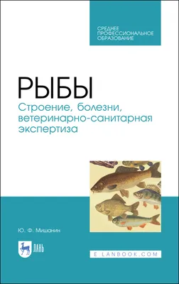 Эти рачки уничтожают рыбу. Как бороться с Аргулёзом (карпоед). Разговор с  ихтиопатологом - YouTube