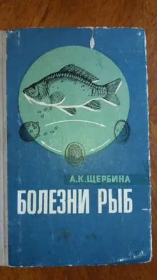 болезни аквариумных рыб 1979 172стр купить в Твери цена 70,00 Р на  DIRECTLOT.RU - Художественная литература и НаучПоп продам