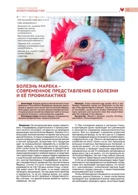 Информация по предупреждению болезни Ньюкасла у кур