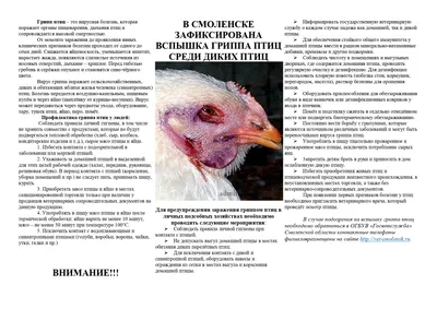 Болезни кур: ЖЕЛТОЧНЫЙ ПЕРИТОНИТ! - YouTube
