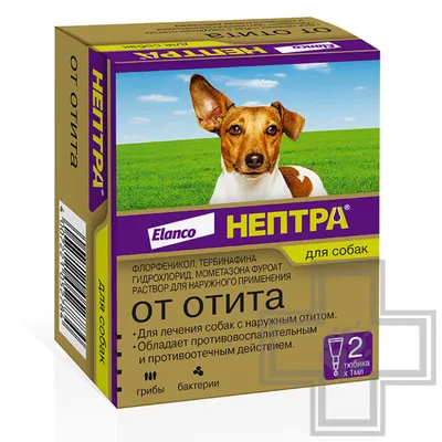 Нептра капли для лечения отита у собак Elanco 1 мл пипетки 2 шт - купить,  цена и отзывы, Нептра капли для лечения отита у собак Elanco 1 мл пипетки 2  шт инструкция