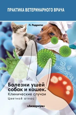 Ушной клещ у собак: симптомы, диагностика и лечение - LAIKY