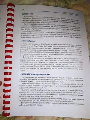 Пиотравматический дерматит (памятка для владельцев) | Ветеринарная клиника  доктора Шубина