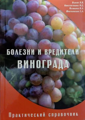 Самые опасные вредители винограда (описание и методы борьбы) | В саду  (Огород.ru)