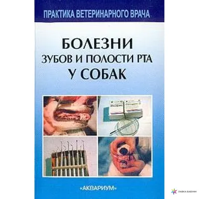 Лечение зубов у собак | Цены на лечение зубов у собак в Москве - ЗооПорт