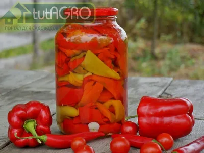 Болгарский перец в маринаде на зиму. Рецепт на 100% | Проверено-это вкусно  | Дзен