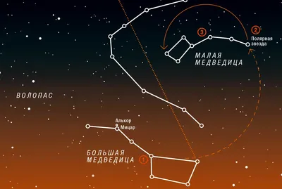 Созвездия Большая медведица, Волопас и Гончие псы | Андрей Ананченко | Дзен