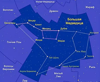 Околополярные незаходящие созвездия: Северное полушарие