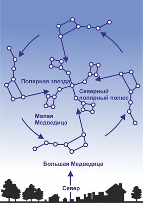 Орион и другие (мифы и реалии зимнего неба)